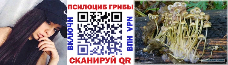 Галлюциногенные грибы ЛСД  Купить где  Новодвинск 